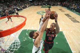 布什与艾尔 布什与艾尔