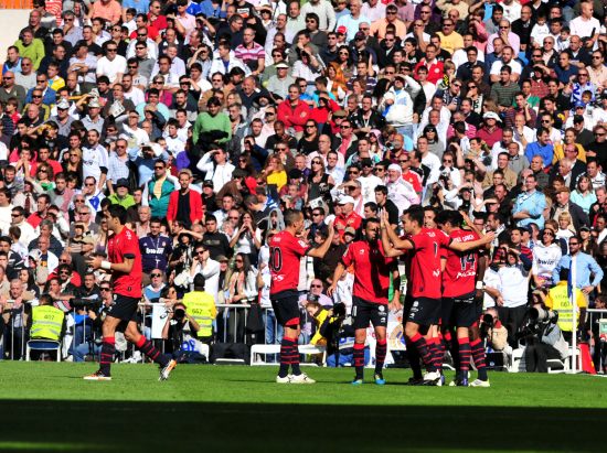 活力与竞争 活力与竞争